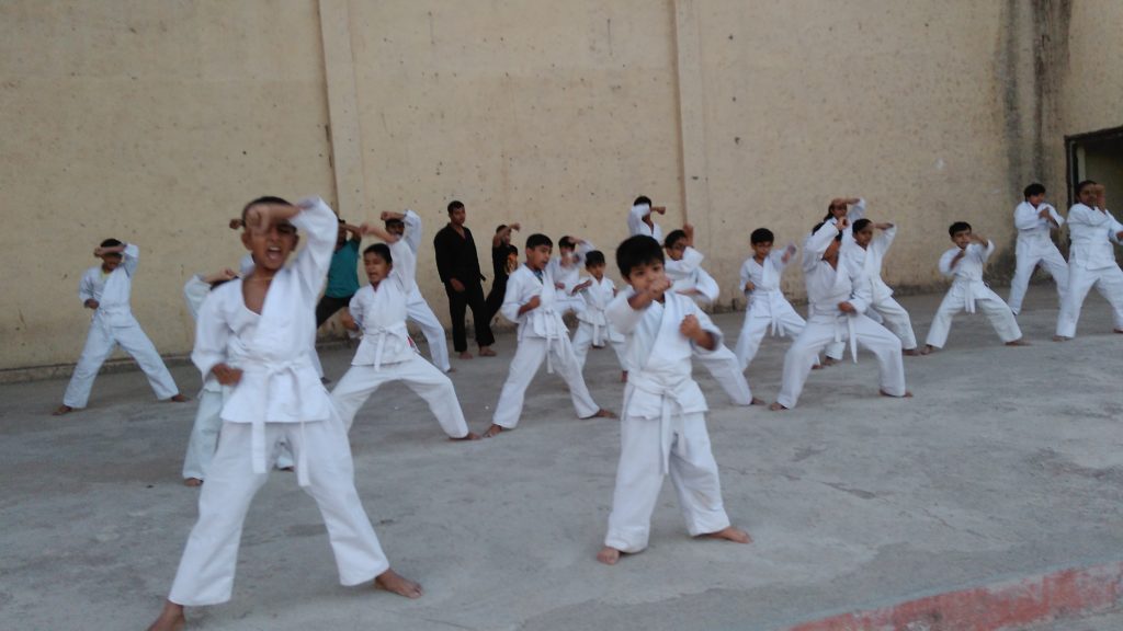 Photo - Martial Art Academy Of India